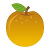 梨の種類と特徴！味の違いと歴史は？