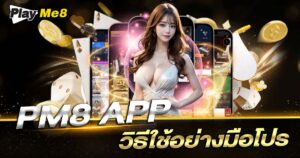 วิธีใช้ pm8 app อย่างมือโปร